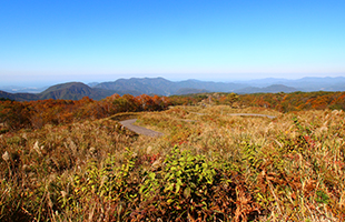 上山高原