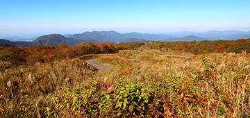 シニア様向けおすすめ観光ルート 2日目 上山高原